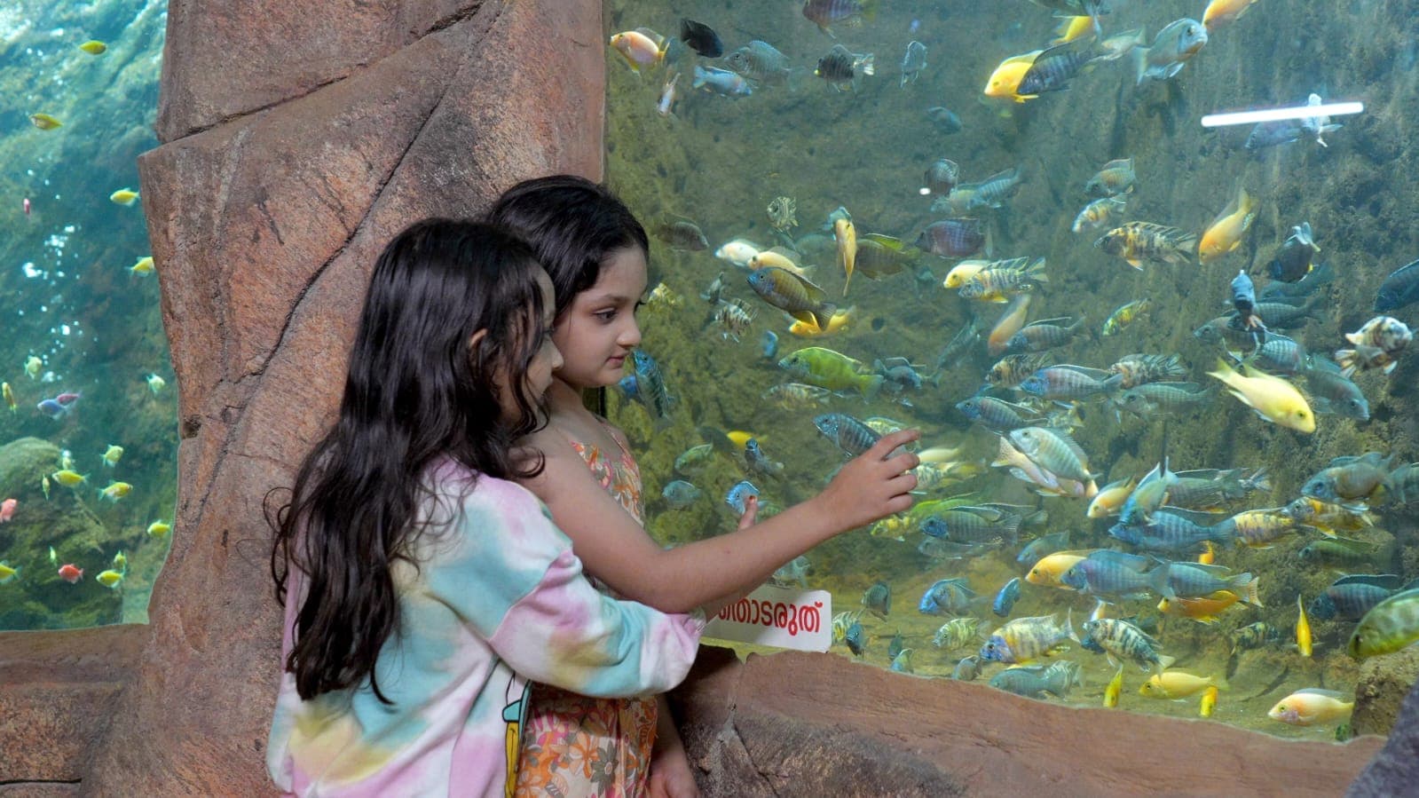 Children discovering exotic fish at Flora Fantasia Fish Aquarium Malappuram Kerala