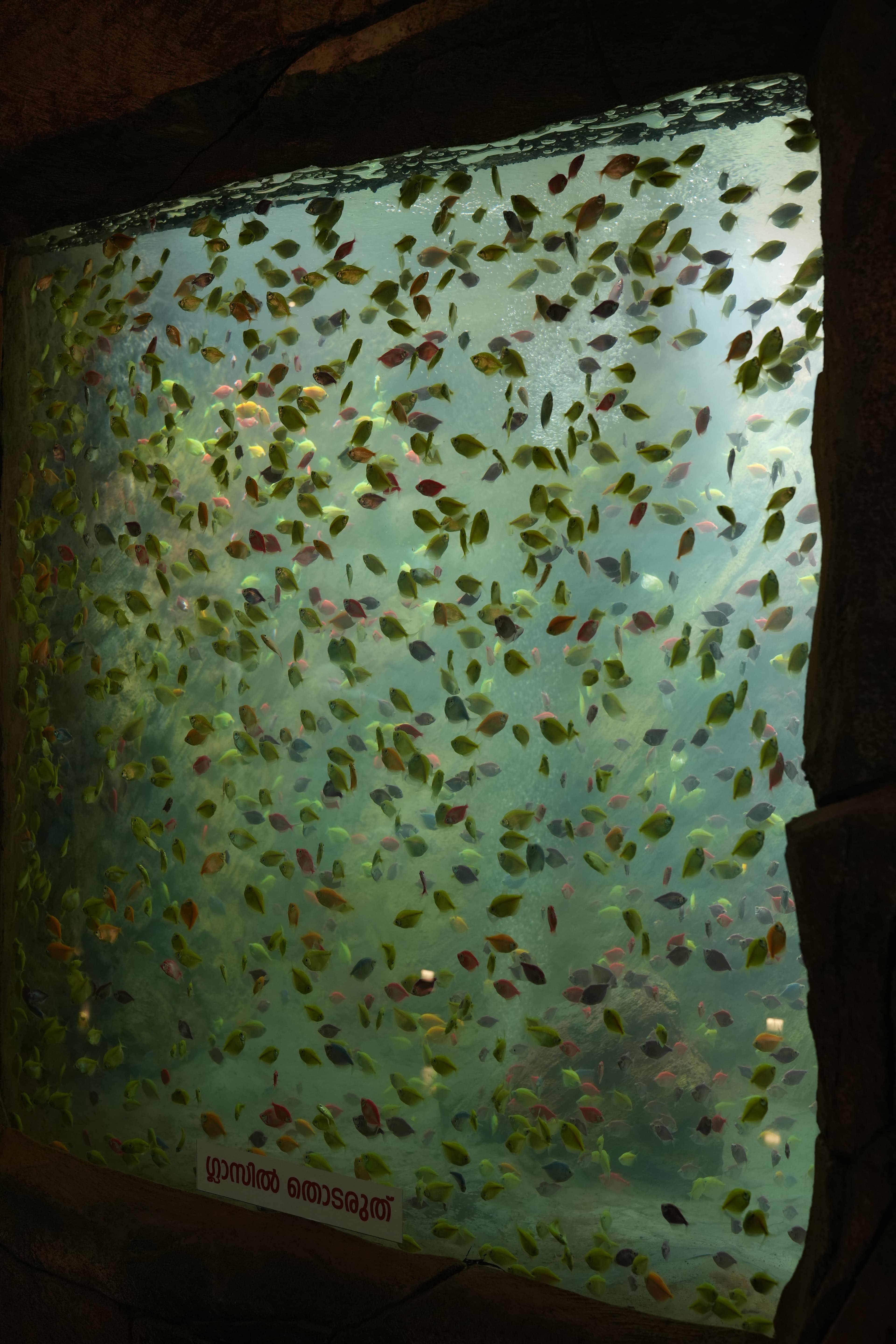 Flora Fantasia family fun park Kerala